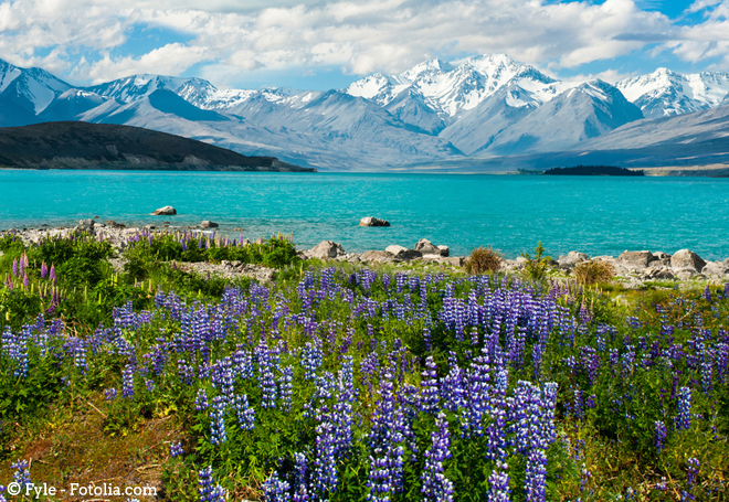Natur in Neuseeland