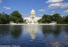 Newsletter Grannies - Dringend Haussitter/Gesellschafterin in Washington D.C. gesucht