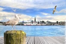 Newsletter Grannies: Für Spontane: Plätze frei für Frühlingsinfotag 18.04. in Hamburg