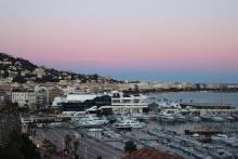 Newsletter Grannies - Urgently looking for support on the Côte d’Azur 