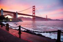 Newsletter Grannies - Dringend Granny für San Francisco gesucht