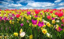 Newsletter Grannies - Alles neu macht der Mai – werden Sie Granny Aupair