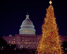 Newsletter Grannies - Weihnachtszauber in Washington D.C.