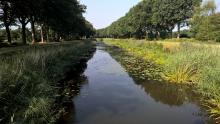 Newsletter Grannies - Dringend Granny-Ersatz im schönen Münsterland gesucht